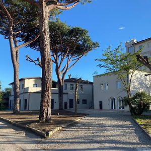 Re Versiliana Junior-House